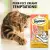 Temptations Creamy Cat Treat, Salmon & Cheese Flavour – 48 g (4 pieces)