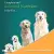 Himalaya Chicken and Rice Puppy Dry Dog Food