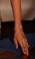 Gold Royal Deck Hand Harness