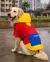 Pawsindia Dog Hooded 360° Raincoat, Red & Yellow