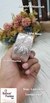 Light Rose Lampi Gota Border 1.5'' inch