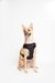 Ezra Neoprene Harness For Dogs - Black