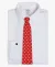 Non-Iron Broadcloth Ainsley Collar Solid Regular Fit Dress Shirt
