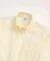 Regular Finish Oxford Solid Regular Fit Sport Shirt