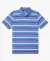 Performance Striped Regular Fit Polo T-Shirt