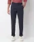 Tapered Pleated Solid Tapered Fit Chinos