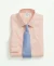 Non-Iron Pinpoint Gingham Regular Fit Dress Shirt