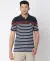 Cotton Pique Striped Slim Fit Polo T-Shirt
