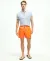 Polyester Solid Regular Fit Swim Trunks