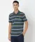 Cotton Pique Striped Slim Fit Polo T-Shirt