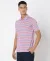 Performance Striped Regular Fit Polo T-Shirt