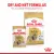 Royal Canin Loaf In Gravy Shih Tzu Adult Wet Dog Food - 85 g