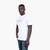 Cotton-Jersey Regular-Fit T-Shirt With Script Logo