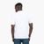 Cotton-Jersey Regular-Fit T-Shirt With Script Logo