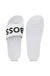 Logo slides