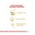 Royal Canin Shih Tzu Adult Dry Dog Food