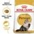 Royal Canin Persian Adult Dry Cat Food - 4 Kg + Wet Food