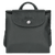 Le Pliage Green M Backpack