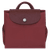 Le Pliage Green M Backpack