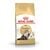 Royal Canin Persian Adult Dry Cat Food - 4 Kg + Wet Food