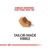 Royal Canin Shih Tzu Adult Dry Dog Food