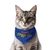 PawsIndia Cat Bandana - Spider Cat