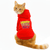 Pawsindia Dog & Cat Hoodie - Happy Birthday (Red)