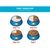 Smart Heart Adult Lamb & Rice Dry Dog Food