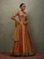 Rust & Multi Rushafi Lehenga Set