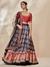 Black & Multi Anardana Lehenga Set