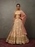 Light Coral Camilee Lehenga Set
