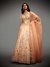 Peach & Multi Nazli Lehenga Set