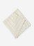 Ivory Jaisalmer Cotton Napkin (Set Of 4)