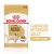 Royal Canin Chunks In Gravy Labrador Retriever Adult Wet Dog Food - 140g
