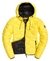 ASTRAE QUILT PADDED JACKET
