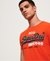 VINTAGE LOGO ENTRY TEE