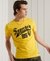 COLLEGIATE GRAPHIC LIGHTWEIGHT T-SHIRT