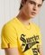 COLLEGIATE GRAPHIC LIGHTWEIGHT T-SHIRT