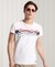 VINTAGE LOGO CALI STRIPE T-SHIRT