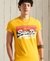 VINTAGE LOGO CALI STRIPE T-SHIRT