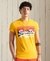 VINTAGE LOGO CALI STRIPE T-SHIRT