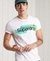 CORE LOGO CALI T-SHIRT