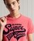 COLLEGIATE GRAPHIC STANDARD WEIGHT T-SHIRT