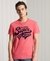 COLLEGIATE GRAPHIC STANDARD WEIGHT T-SHIRT