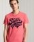COLLEGIATE GRAPHIC STANDARD WEIGHT T-SHIRT