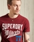 COLLEGIATE GRAPHIC STANDARD WEIGHT T-SHIRT