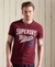 COLLEGIATE GRAPHIC STANDARD WEIGHT T-SHIRT