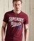 COLLEGIATE GRAPHIC STANDARD WEIGHT T-SHIRT