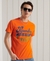 COLLEGIATE GRAPHIC STANDARD WEIGHT T-SHIRT