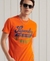 COLLEGIATE GRAPHIC STANDARD WEIGHT T-SHIRT